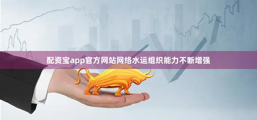 配资宝app官方网站网络水运组织能力不断增强