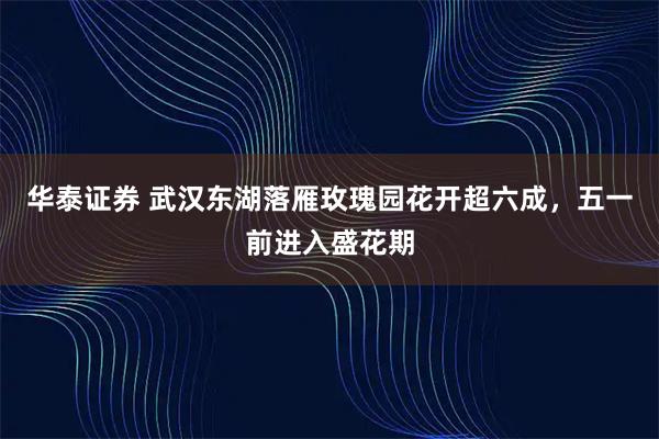 华泰证券 武汉东湖落雁玫瑰园花开超六成，五一前进入盛花期